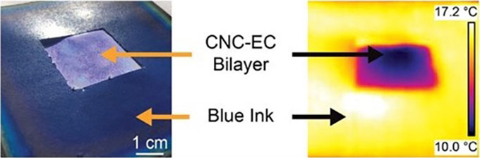 a composite photo showing blue carbon nanocrystal/ethyl cellulose film resting on another piece of film, and on the right the thermal image of the bilayer film