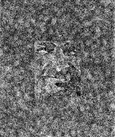 a face that hidden in a busy black and white image